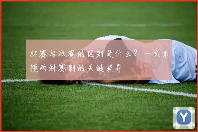 杯赛与联赛的区别是什么？一文看懂两种赛制的关键差异