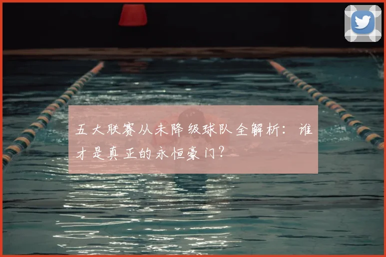 五大联赛从未降级球队全解析：谁才是真正的永恒豪门？