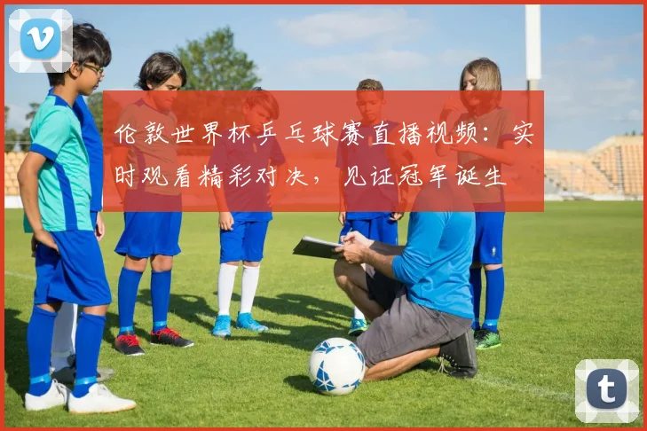 伦敦世界杯乒乓球赛直播视频：实时观看精彩对决，见证冠军诞生