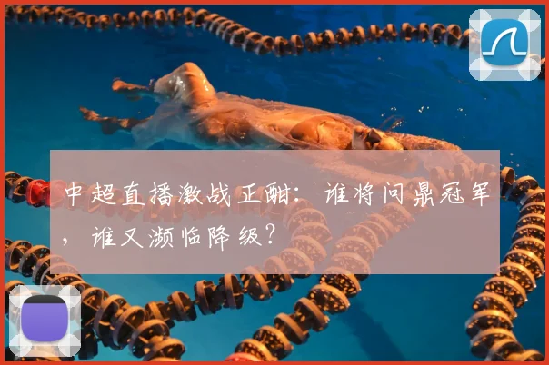 中超直播激战正酣:谁将问鼎冠军,谁又濒临降级?